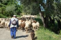 Behinderung auf der Radtour auf Arcos de la Frontera