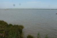 Radtour im Nationalpark Donana