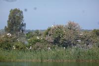 Radtour im Nationalpark Donana