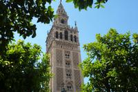 die Giralda von Sevilla