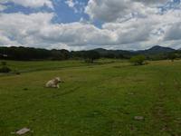 Grazalema - Wandern Andalusien 2013