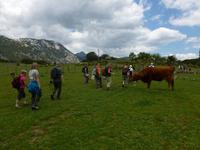 Grazalema - Wandern Andalusien 2013