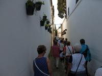 Ronda - Wandern Andalusien 2013