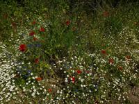 Wandern Andalusien 2013