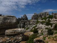El Torcal de Antequera -  Wandern Andalusien 2013