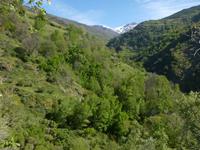 Las Alpujarras - Wandern Andalusien 2013