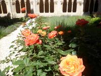 der Klostergarten von Poblet