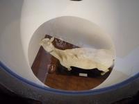 Blick durch den Tisch im Gala Haus