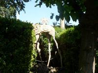 Elephant im Galagarten