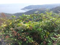 Barcelona und die Kultur Kataloniens