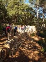 Wanderung von Esporles nach Banyalbufar