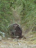 Wanderung von Esporles nach Banyalbufar