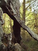 Wanderung von Esporles nach Banyalbufar