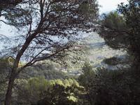 Wanderung von Esporles nach Banyalbufar