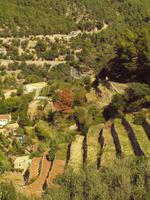 Wanderung von Esporles nach Banyalbufar