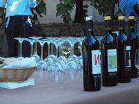 Wanderung von Esporles nach Banyalbufar