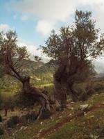 Wanderung im Tal von Orient