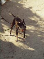 Wanderung im Tal von Orient