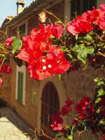 farbige Wegbegleiter 