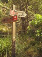 Wanderung von Déiá nach Sóller