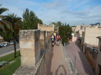 auf der Stadtmauer von Alcudia