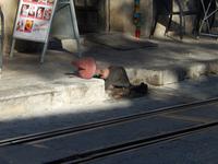 Gleisanlage in Soller