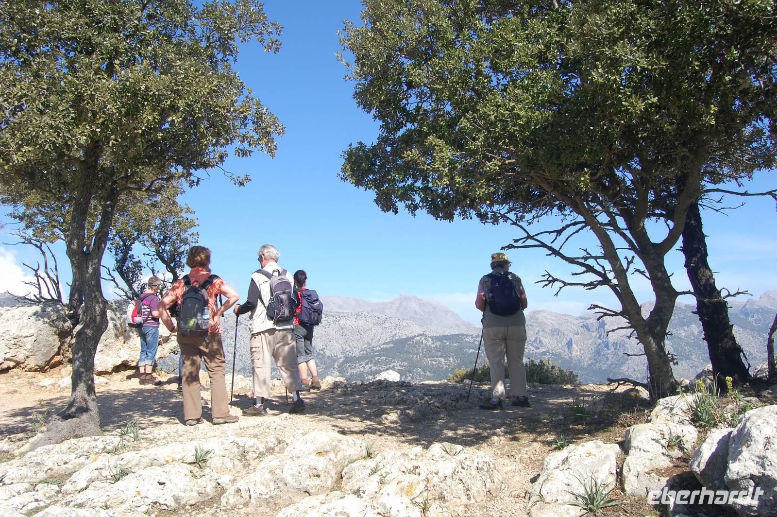 Endlich oben Castell d´Alaró mit Blick auf den Puig Major (1447 m)