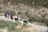 Der Abstieg nach Alaró