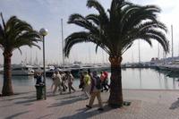 Jachthafen von Palma de Mallorca