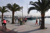 Jachthafen von Palma de Mallorca