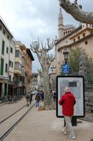 Stadtrundgang in Sollér