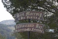 Bus-stopp am Aussichtspunkt 