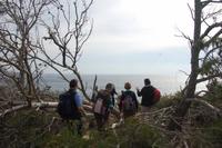 Wanderung von Cala Pi zum Cap Blanc