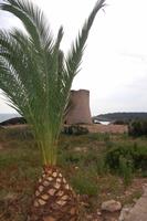 Wachturm an der Bucht Cala Pi
