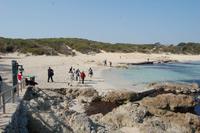 Am Strand Platja de Cala Agulla