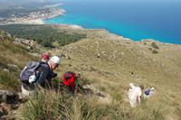 der steile Abstieg vom 