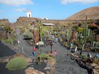 Kaktusgarten - Wanderreise auf Lanzarote - Singlereisen - Wandern - Lanzarote - Spanien