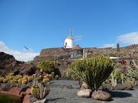 Kaktusgarten - Wanderreise auf Lanzarote - Singlereisen - Wandern - Lanzarote - Spanien