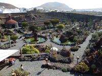 Kaktusgarten - Wanderreise auf Lanzarote - Singlereisen - Wandern - Lanzarote - Spanien