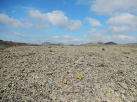 Wanderreise auf Lanzarote - Singlereisen - Wandern - Lanzarote - Spanien