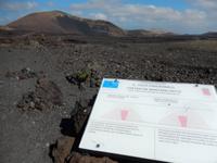 Wanderreise auf Lanzarote - Singlereisen - Wandern - Lanzarote - Spanien
