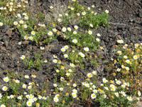 Wanderreise auf Lanzarote - Singlereisen - Wandern - Lanzarote - Spanien