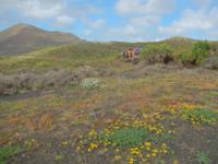 Wanderreise auf Lanzarote - Singlereisen - Wandern - Lanzarote - Spanien