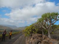 Wanderreise auf Lanzarote - Singlereisen - Wandern - Lanzarote - Spanien