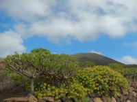 Wanderreise auf Lanzarote - Singlereisen - Wandern - Lanzarote - Spanien