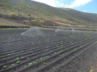 Wanderreise auf Lanzarote - Singlereisen - Wandern - Lanzarote - Spanien