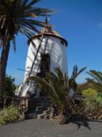 Wanderreise auf Lanzarote - Singlereisen - Wandern - Lanzarote - Spanien