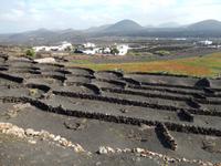 Wanderreise auf Lanzarote - Singlereisen - Wandern - Lanzarote - Spanien