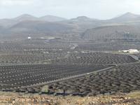 Wanderreise auf Lanzarote - Singlereisen - Wandern - Lanzarote - Spanien