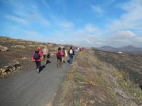 Wanderreise auf Lanzarote - Singlereisen - Wandern - Lanzarote - Spanien